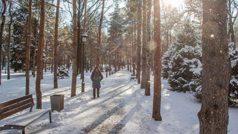 Какой будет погода в Казахстане в День независимости
