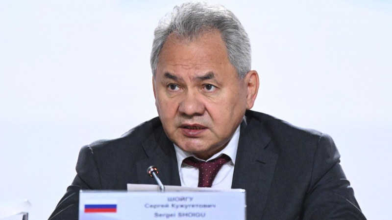 Шойгу назвал условие нормализации отношений с Токио