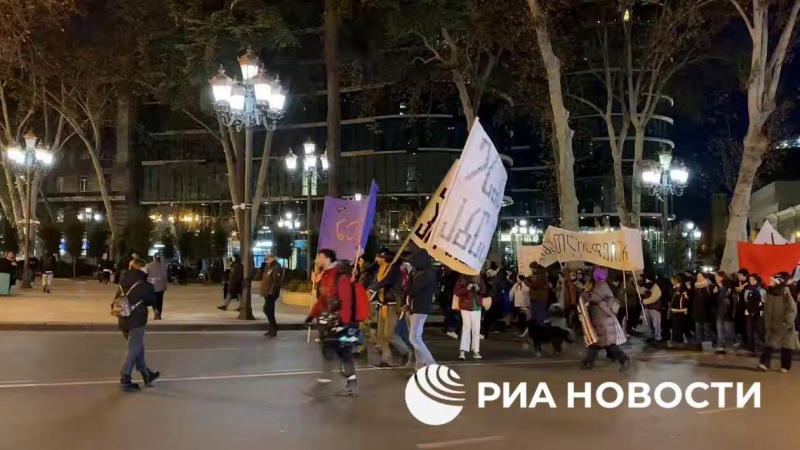 В Тбилиси завершилась акция протеста у парламента Грузии